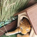 경희세탁소 이미지