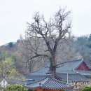 나주향교 이미지