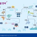 대전아쿠아리움 이미지