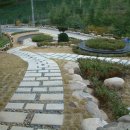 삼수령목장 이미지