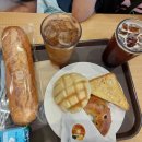 개빵뜯어먹는소리 이미지