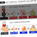 알파안전 | 알파CD 효능 부작용 복용방법 실제 후기