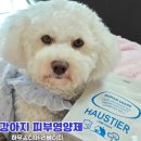 티어하우스 | 강아지 피부 영양제 하우스티어 리베터치 급여 후기