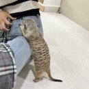 동물원야식 이미지