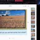 15 Wheat 이미지