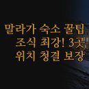 이지호텔 | 스페인 말라가 호텔 | 조식 최강 세르코텔 가성비 이지호텔 | 실제 숙박 후기 | 위치 청결 보장된 시티...