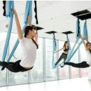 요가초급반 이미지