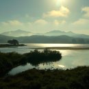 문안산주유소 이미지