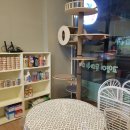 개 이쁜 애견미용샵 이미지