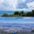 법주목장 Daum카페