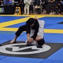 바른체형 용수합기도 | [서천무림합기도주짓수]주짓수대회 후기, 도전하고 성장한 하루!