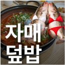 필력이 심상치 않은 맛집 블로그 이미지
