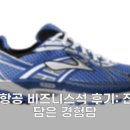 대한 | 대한 항공 비즈니스석 후기: 진심을 담은 경험담