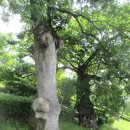 광양읍 유당공원 이미지