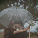 찡's 이미지