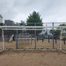 서강초교 이미지