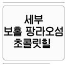 중부-현장-중부-900 | 세부 보홀 팡라오섬 초콜릿힐 포함 자연 여행 코스