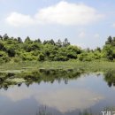 사적인 제주 이미지