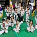 용인대윙스태권도장 이미지