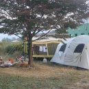 솔밭가는길 이미지