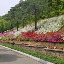 힐링강릉 이미지