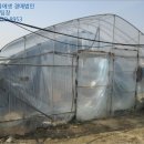 모전영농조합법인 이미지