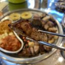 팡팡 경희대점 이미지