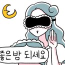 241GYM 네이버블로그
