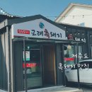 교래흑돼지표선점