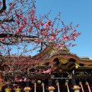 대전한국병원 이미지