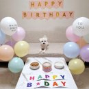 페리토리 이미지