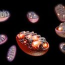 Latest News Reading 이미지