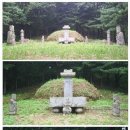 낙선군 묘 이미지