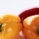 케어비젼 이미지