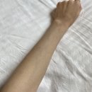 히스페이스