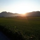 달려라새벽
