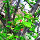 다올농장 이미지