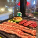 바이소 이미지