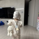 쿵스 | 두돌아기 래쉬가드 쿵스쿵스 내돈내산 구입후기