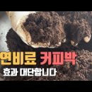 커피비료 만들기 / 영양분가득 효과만점 친환경비료 만드는방법 이미지