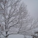 옛집멸치국수 이미지