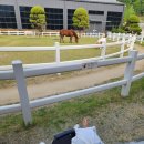 28 | 🐴 18개월 아기랑 5월의 파크프리베 카페 방문 후기