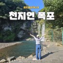 제주 천제연 난대림 | 제주 서귀포 필수 여행지 천지연폭포 입장료 주차장