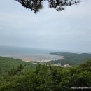 무의도 호룡곡산 등산 &amp; 동양염전베이커리카페 솔직 후기 (타르트 추천)
