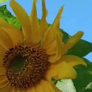 송이부동산공인중개사사무소 이미지