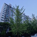 우성행정사무소 이미지