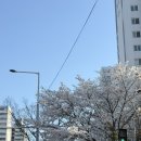 계룡장