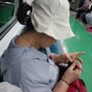 경기둘레길 김포60코스 | 경기둘레길 갯길 김포 60코스