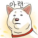 도기도기펜션 이미지