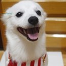 마린독스 이미지